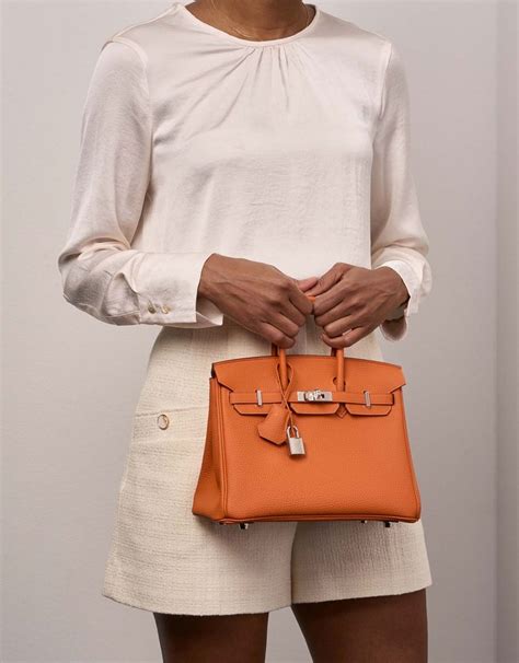 picnic hermes bag|hermes birkin togo 25.